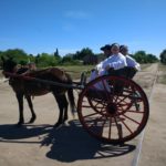 e0b19d98-85dc-4511-adce-6801d365121c